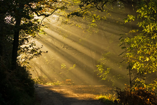 Evolution of the First Vision and Teaching on God in Early Mormonism